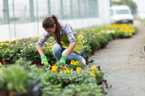 Gardener trimming a formal hedge in a Wimbledon garden