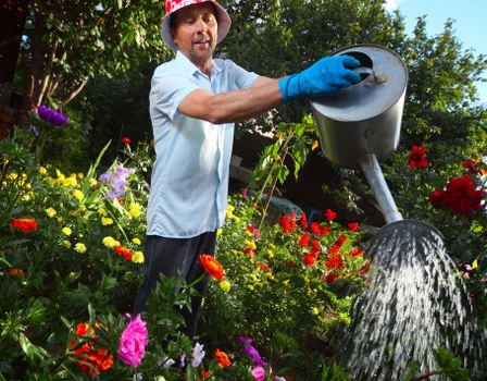 Team using protective gear while trimming a tall hedge
