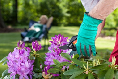 Crew performing corrective hedge trimming work following a complaint