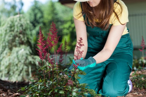 Volunteer gardeners receiving woodchip and mulch from hedge works