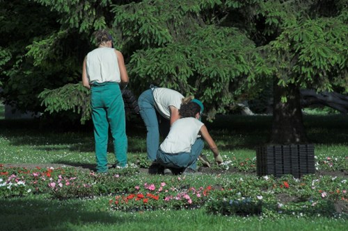 Investigator reviewing hedge trimming work on site
