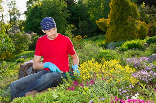 Summer garden maintenance in Wimbledon