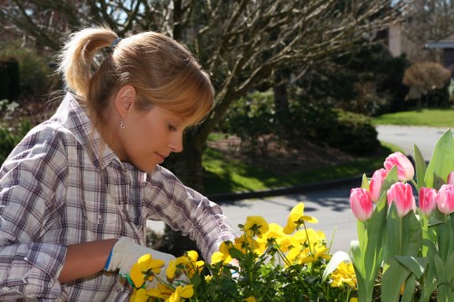 Seasonal flowers enhancing a well-mowed lawn