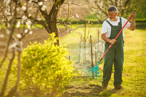 Lawn care services in Wimbledon