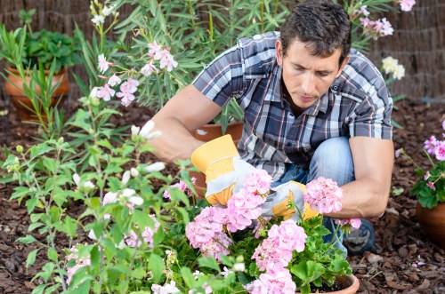 Traditional English garden in Wimbledon with vibrant flowers