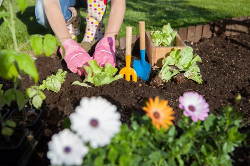 A child wearing pink gardening gloves is planting young lettuce seedlings in a prepared flower bed with rich, dark soil in a residential garden. Surrounding the planting area, there are flowering plants including white, purple, and orange daisies in the foreground, adding colour and contrast to the scene. In the background, a well-maintained green lawn extends, bordered by a low brick edging that separates the flower bed from the grassy area. Gardening tools such as a small yellow hand fork and a blue trowel are lodged into the soil beside the seedlings, indicating ongoing planting activity. The garden appears sunny with clear weather, highlighting the lush greenery and vibrant flower colours, and suggesting a well-kept outdoor space suitable for gardening services like planting, lawn care, and landscaping in Wimbledon.